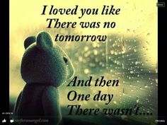 a teddy bear sitting in front of a window with the words i loved you like there was no tomorrow and then one day there was it