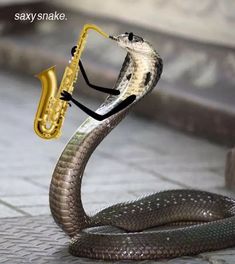 a snake with a saxophone in its mouth