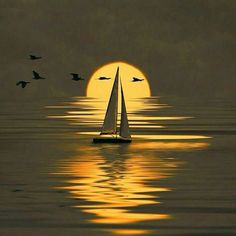 a sailboat floating in the ocean with birds flying around it at sunset or dawn