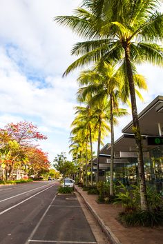 an empty street lined with palm trees next to a building and parked car on the side