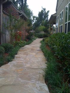 a stone path between two buildings with trees in the back ground and bushes on either side