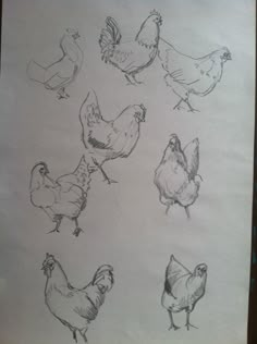 a bunch of chickens are drawn on a piece of paper