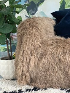 a large stuffed animal sitting on top of a rug next to a potted plant