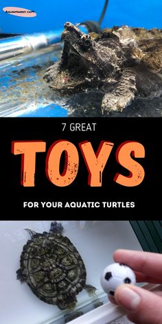 there are two different types of toys in this photo and the title says, 7 great toys for your aquatic turtles