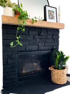 a black fireplace with potted plants on top and a mirror above the fire place