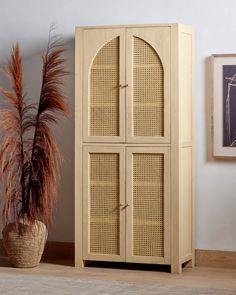 a tall wooden cabinet next to a potted plant on the floor in a room