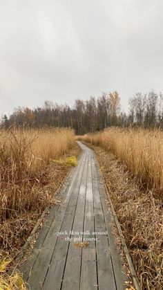 a wooden walkway in the middle of a field with tall grass and trees behind it