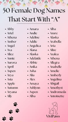 the 50 female dog names that start with a and b are shown in black on a pink background