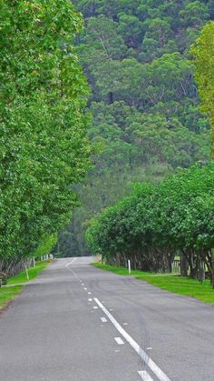 an empty road surrounded by trees and mountains