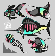 various types of fish on a gray background