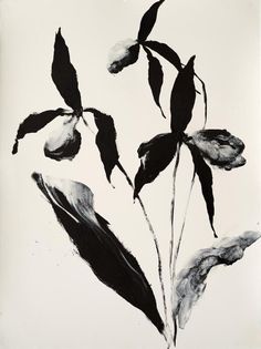 a black and white photo of some leaves