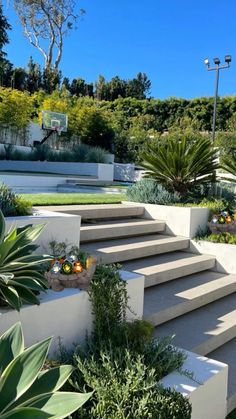 some plants are growing on the concrete steps