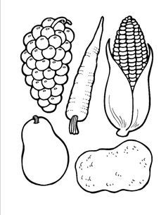 an image of fruits and vegetables coloring page