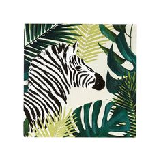 a zebra in the jungle surrounded by palm leaves on a white background canvas wall art print