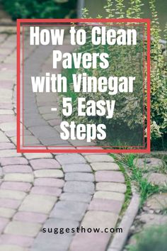 how to clean pavers with vinegar 5 easy steps