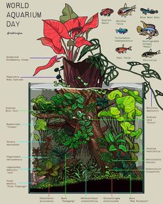 an aquarium with plants, fish and other marine life inside the bottom half of it