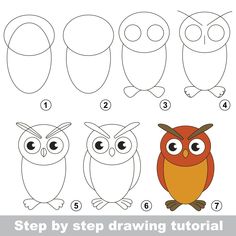 how to draw an owl with easy step by step drawing instructions for kids and beginners