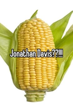 an ear of corn with the words jonathan davis?