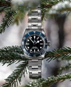 Tudor Black Bay Blue, Bay Watch, Nice Watches, Tudor Watches, Tudor Watch, Rolex Tudor, Divers Watch, Tudor Black Bay, The Tudor