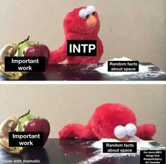 Intp Core, Mbti Test, Mbti Relationships