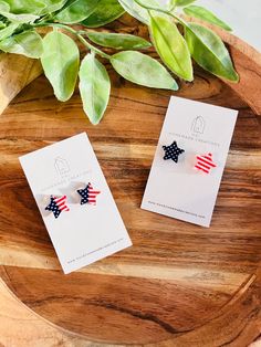 pair of patriotic bow earrings on wooden table next to potted plant with green leaves