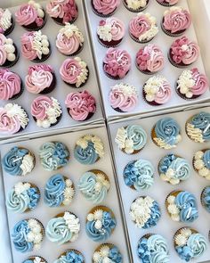 four boxes filled with different colored cupcakes