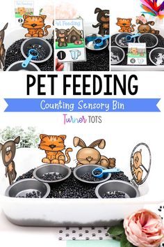 an image of pet feeding activity for toddlers