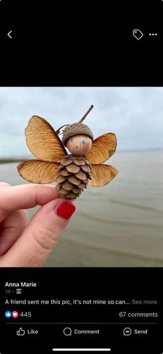 a hand holding a tiny pine cone with a small insect on it's back