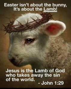 The Lamb Of God, Repent And Believe, Revelation 17, He Is Lord, Lamb Of God, The Good Shepherd, Prayer Verses, The Lamb, Jesus Pictures