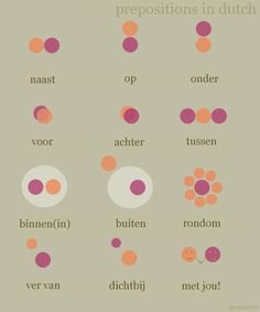 an image of different types of dots