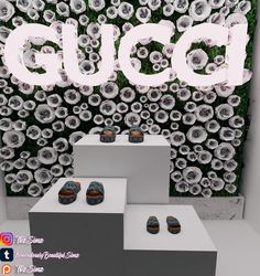 an advertisement for gucci shoes on display in front of a wall with white flowers