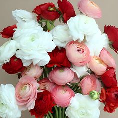 a vase filled with lots of red and white flowers