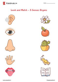 the worksheet for learning how to read and draw an eye, nose, hand,