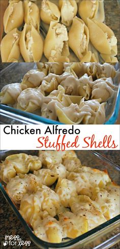 chicken alfredo stuffed shells in a casserole dish with text overlay that reads chicken alfredo stuffed shells