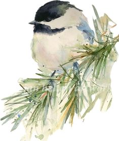 a watercolor painting of a bird perched on a pine branch