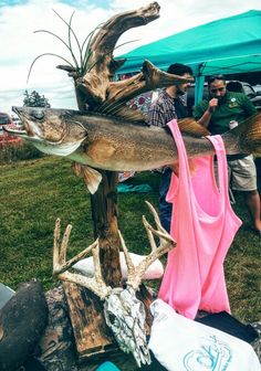 a large fish is on display in front of people at an outdoor event with other items