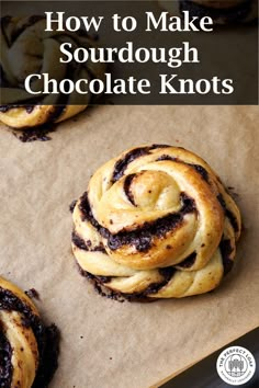 chocolate swirl cookies on parchment paper with text overlay that reads how to make sourdough chocolate knots