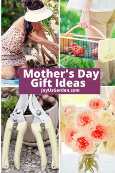 mother's day gift ideas with flowers and gardening shears in vase, garden tools