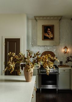 a potted plant sitting on top of a kitchen counter next to a stove and oven