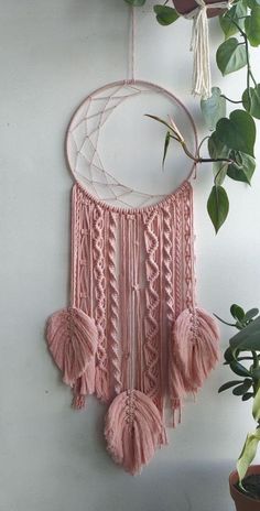 a pink dream catcher hanging on the wall next to a potted plant