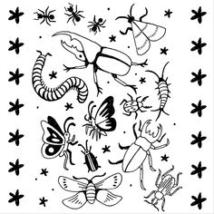 black and white drawing of bugs, butterflies, and stars