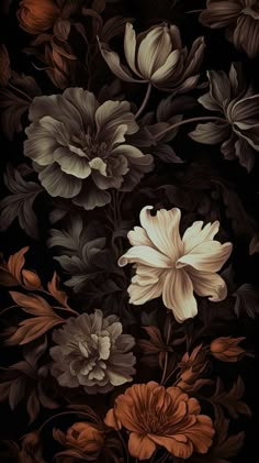 an image of flowers on a black background