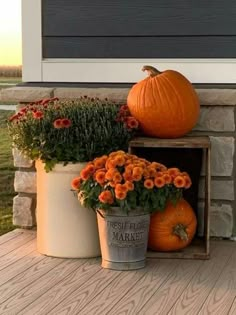 pumpkins and flowers are sitting on the porch