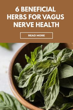 Discover the power of herbal support for vagus nerve and learn natural techniques to stimulate this vital pathway in your body. Enhance relaxation, support the gut-brain axis, and boost digestion through these effective herbs for vagus nerve. Whether you're looking to detox with essential oils or alleviate adrenal fatigue, explore various ways to provide full Vagus nerve support. Your well-being is important – prioritize it by incorporating these impactful practices into your daily routine! Vagus Nerve Healing, Circulation Remedies, Blood Circulation Remedies, Tea Before Bed, The Vagus Nerve, Nerve Health, Types Of Herbs, Gut Brain, Valerian Root