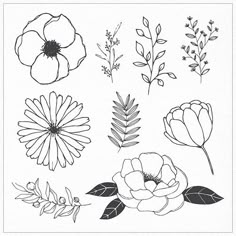 flowers and leaves are drawn in black ink on white paper, with the words wildflowers