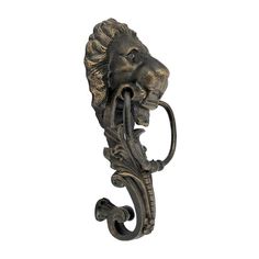 a metal door handle with a lion's head on it