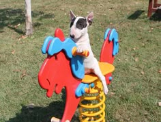 a small dog sitting on top of a toy horse