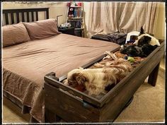 two dogs laying on top of a bed with their heads in an open drawer next to each other