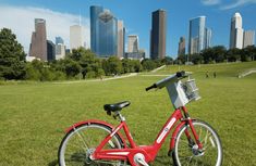 a red bike is parked in the grass near a city park with skyscrapers behind it