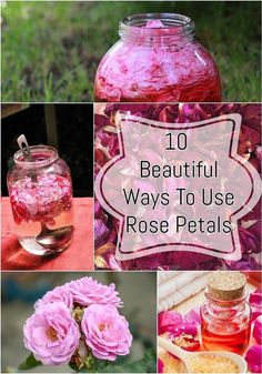 pink flowers in jars with the words 10 beautiful ways to use rose petals